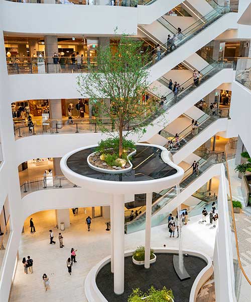 Morden Complex